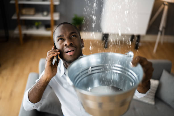 Best Water damage restoration mold remediation  in Reston, VA