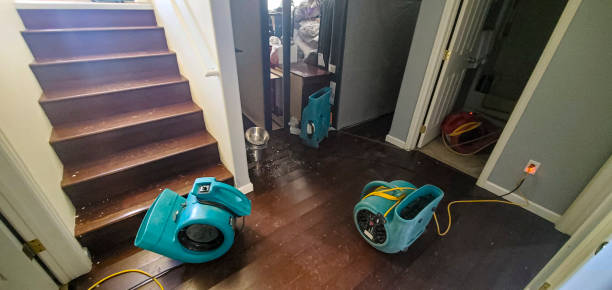 Best Local water damage restoration  in Reston, VA