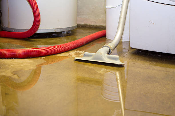 Reliable Reston, VA Water damage restoration Solutions