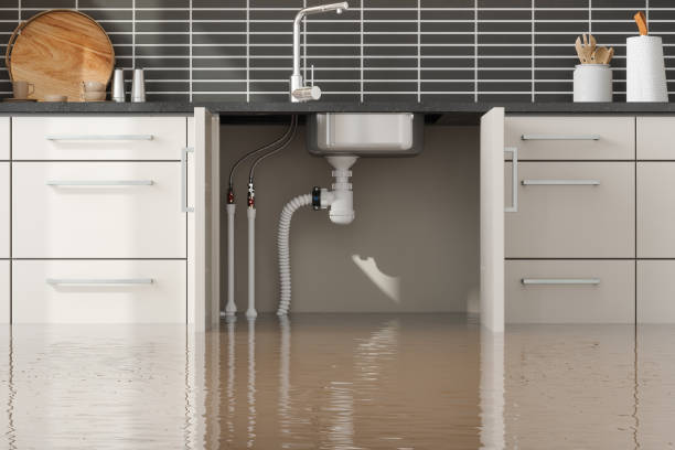 Best Mold removal after water damage  in Reston, VA