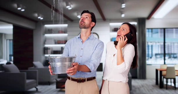 Best Water damage restoration services  in Reston, VA