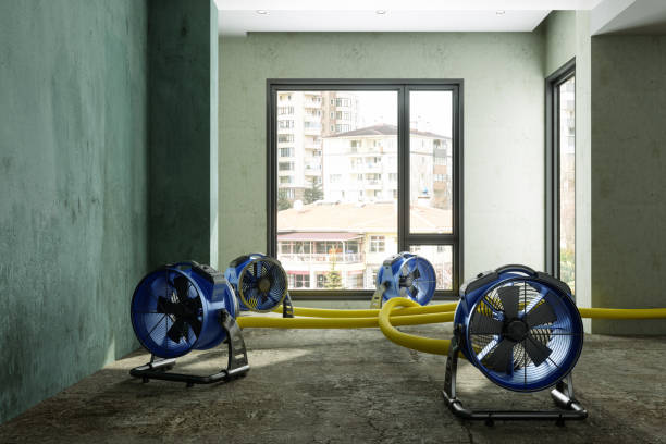 Water damage restoration process in Reston, VA